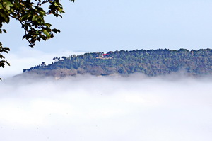 Jenzig_2014.05_02